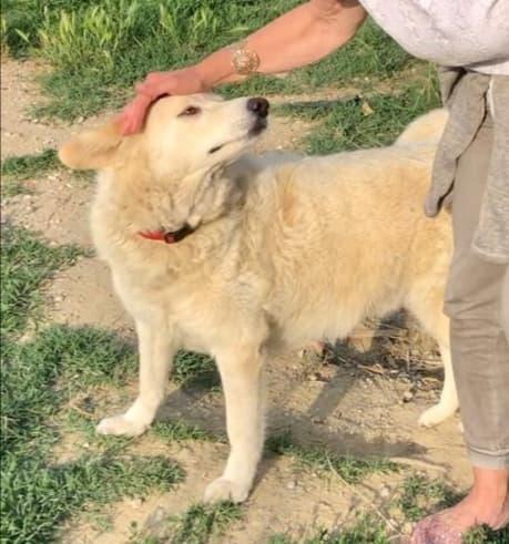 Cotone, morbidone compatibile con i bambini Foto 4